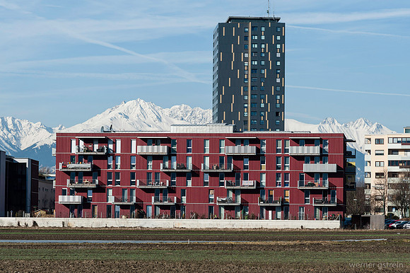 WG-20150308-7413