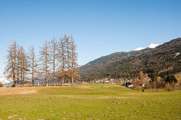 WG-20150328-7750