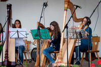 WG-20140614-7364