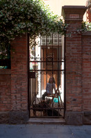 WG-20140524-6698
