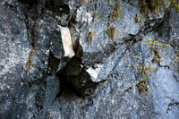WG-20131026-1559