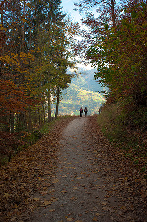 WG-20131026-1634