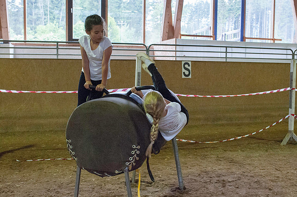 WG-20150606-2163