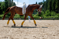 WG-20150606-1875