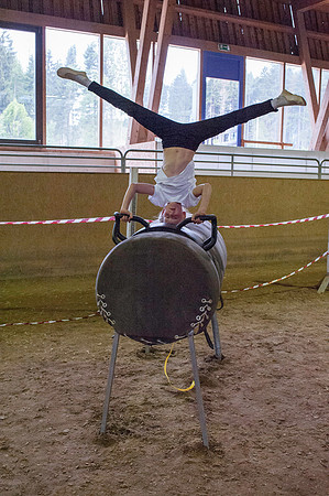 WG-20150606-2165