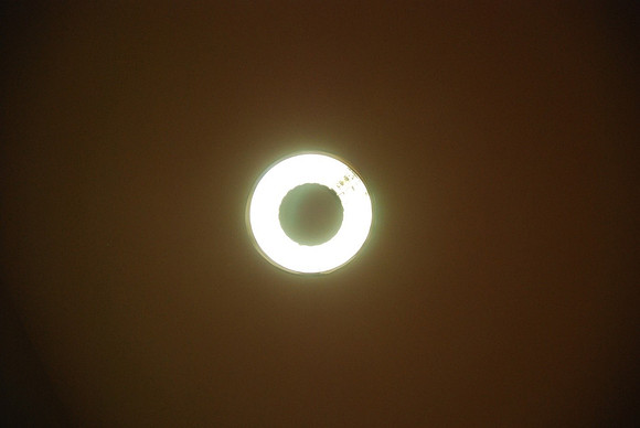 Felix-01
