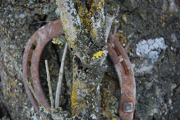 Bettina-04
