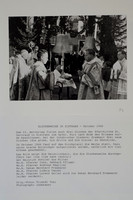 WG-20140529-6993