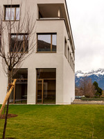WG-20230326-6036