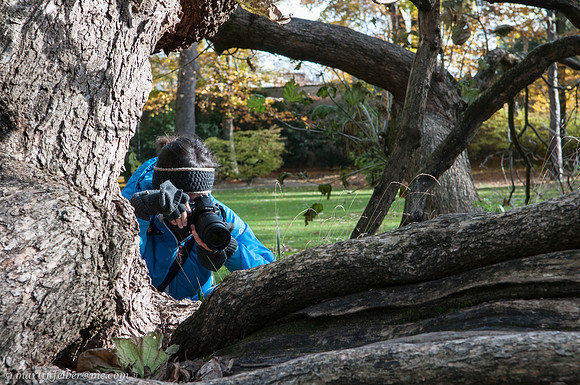 unbenannte Fotosession-37-04. November 2012