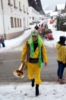 WG-20130212-5263