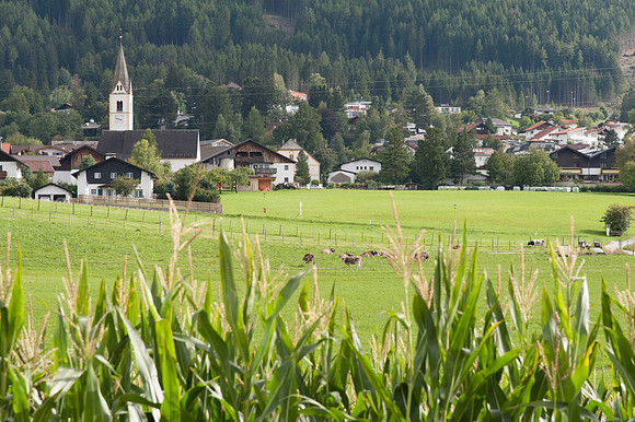 WG-20130914-9752