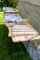 WG-20190830-75625