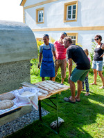 WG-20190830-75633
