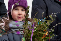 WG-20130324-6528