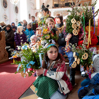 WG-20130324-6600