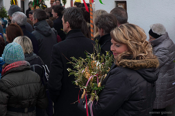 WG-20130324-6560