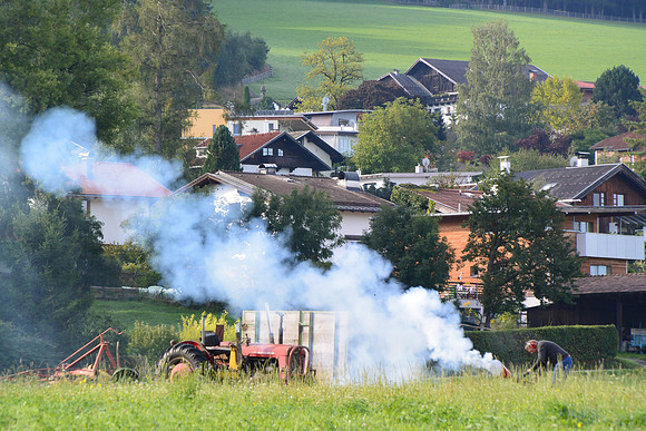 DSC_2324