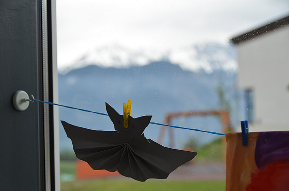 DSC_6919