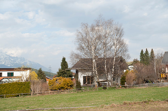 WG-20210402-77963