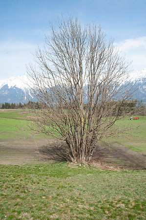 WG-20210410-77975