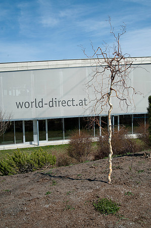 WG-20210410-78061