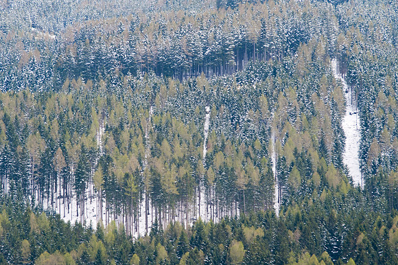 WG-20170421-76378