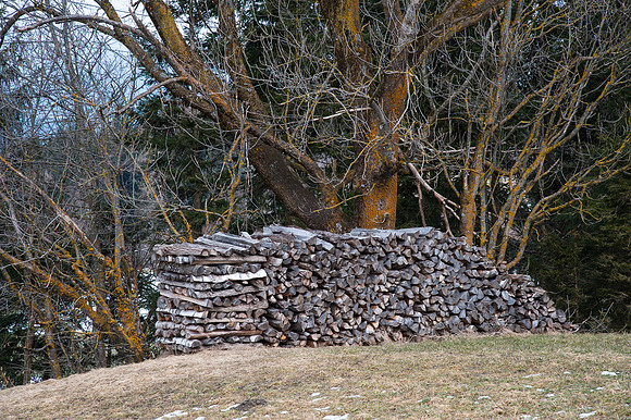 WG-20150301-7369.jpg