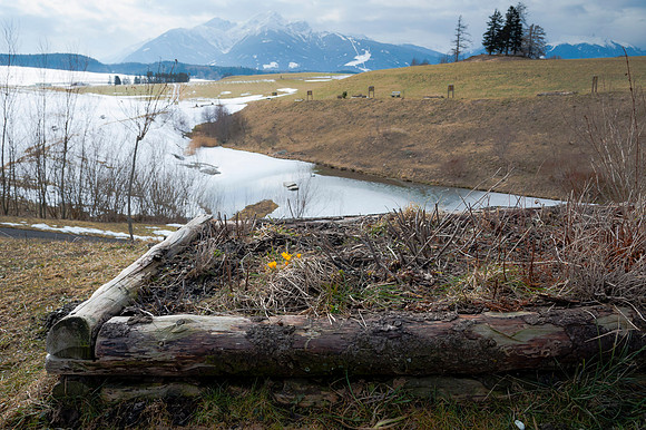 WG-20150301-7380.jpg
