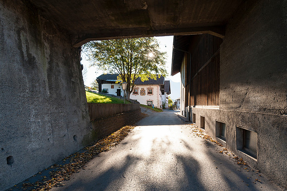WG-20141018-3041